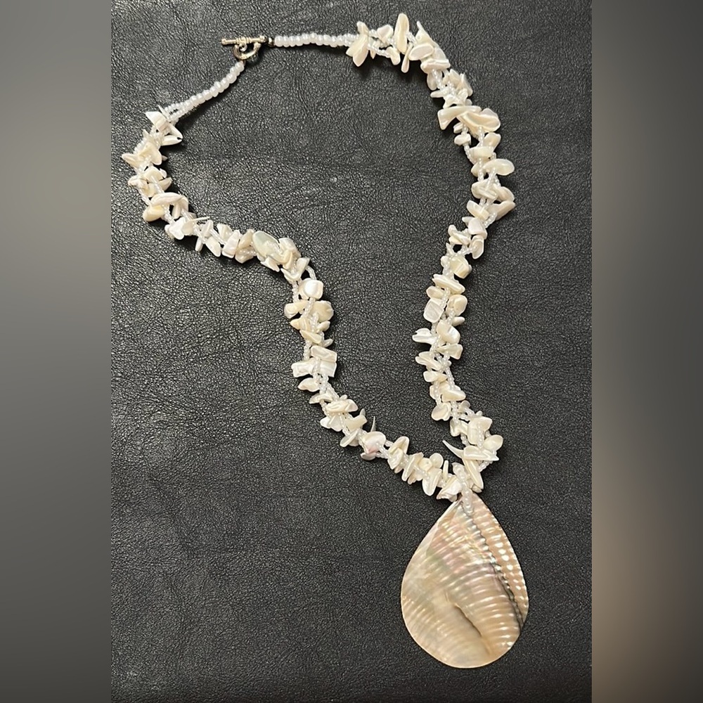 Mother Of Pearl Chip & Abalone 22” Statement Vintage Necklace